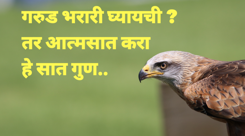 गरुड भरारी घ्यायची आहे ? तर आत्मसात करा हे 7 गुण | Top Learn Qualities form The Eagle in Marathi