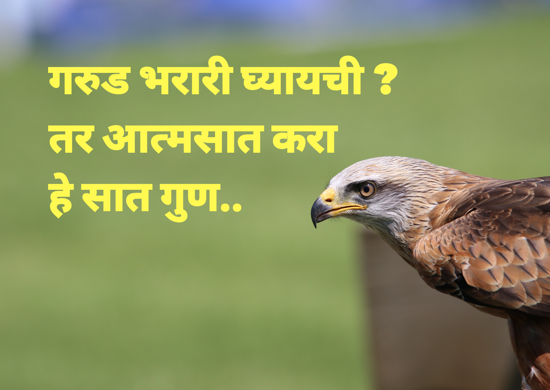 Eagle Meaning In Marathi