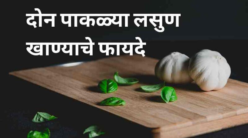 दररोज फक्त 2 पाकळ्या लसूण खाण्याचे फायदे l Top 32 Garlic Benefits in Marathi