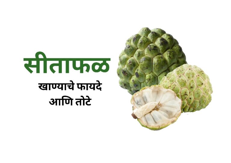 सीताफळ खाण्याचे फायदे आणि सीताफळ खाण्याचे तोटे | Sitafal (Custard Apple) Benefits in Marathi