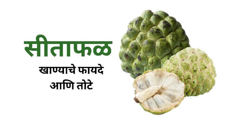सीताफळ खाण्याचे फायदे आणि सीताफळ खाण्याचे तोटे | Sitafal (Custard Apple) Benefits in Marathi