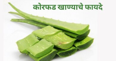 कोरफड खाण्याचे फायदे | Benefits of Eating Aloe Vera in Marathi