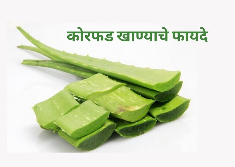 कोरफड खाण्याचे फायदे | Benefits of Eating Aloe Vera in Marathi