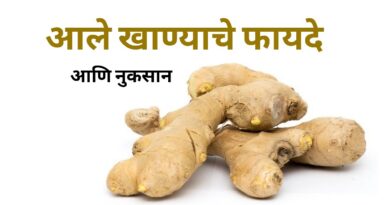 आले खाण्याचे फायदे आणि नुकसान | Health Benefits of Ginger in Marathi