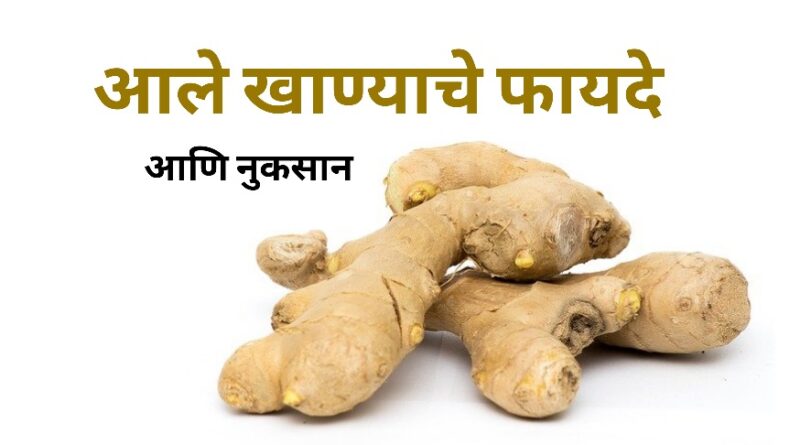 आले खाण्याचे फायदे आणि नुकसान | Health Benefits of Ginger in Marathi