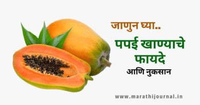 पपई खाण्याचे फायदे आणि नुकसान | Papaya Benefits and Side Effects in Marathi