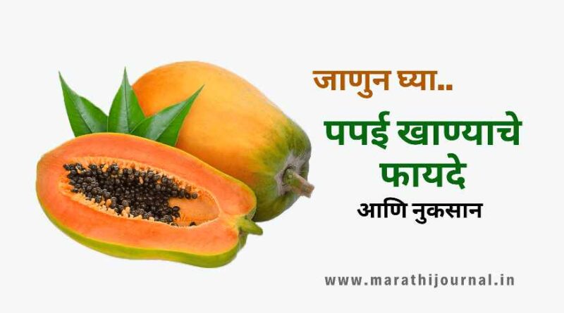 पपई खाण्याचे फायदे आणि नुकसान | Papaya Benefits and Side Effects in Marathi