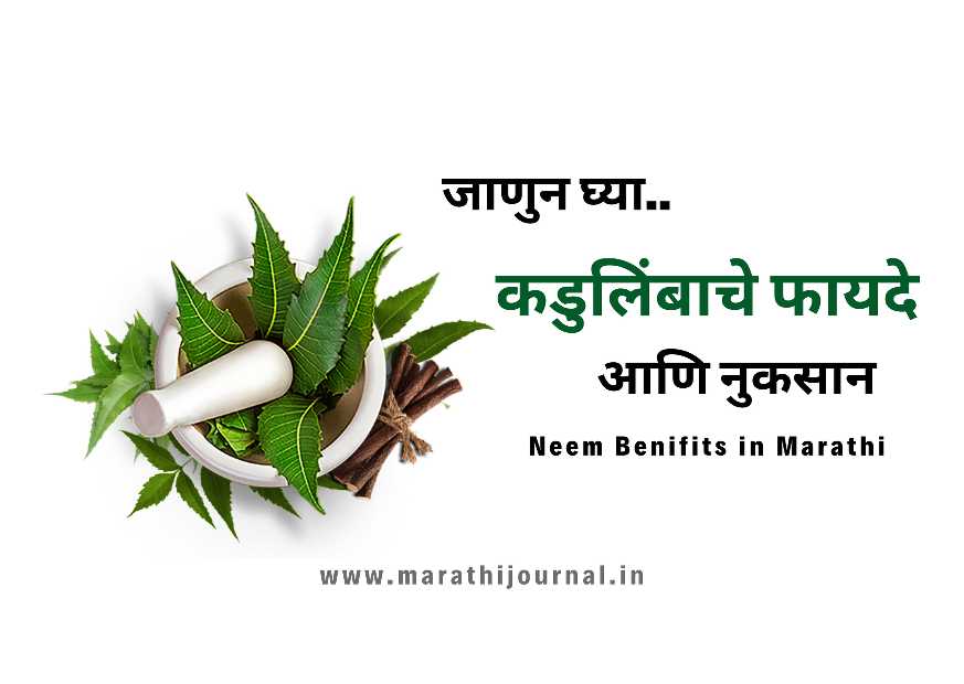 कडुलिंबाचे फायदे आणि नुकसान Neem Benefits In Marathi