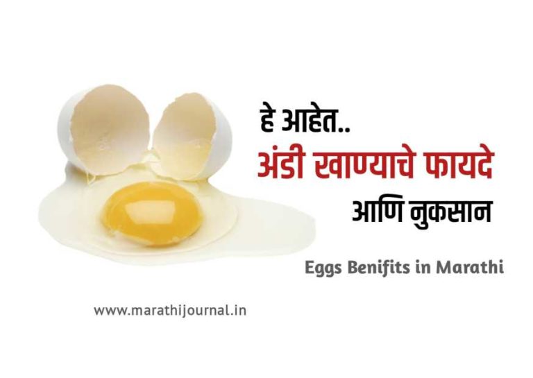 Eggs benefits and side effects in Marathi
