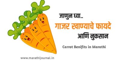 गाजर खाण्याचे फायदे | Carrot Benefits in Marathi
