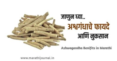 अश्वगंधाचे फायदे आणि नुकसान | Ashwagandha Benefits in Marathi