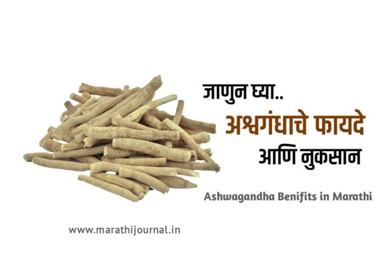 अश्वगंधाचे फायदे आणि नुकसान | Ashwagandha Benefits in Marathi