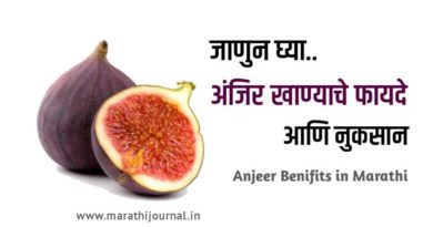 अंजीर खाण्याचे फायदे आणि नुकसान | Benefits of Anjeer in Marathi