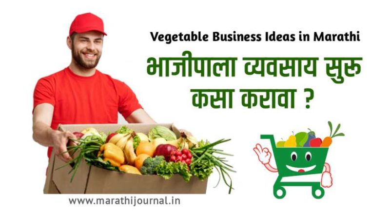 भाजीपाला विक्री व्यवसाय कसा करावा | Top Vegetable Business Ideas in Marathi