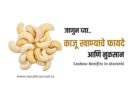 काजू खाण्याचे फायदे आणि नुकसान | Cashew Nut Benefits in Marathi