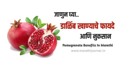 डाळिंब खाण्याचे फायदे आणि नुकसान | Benefits of Pomegranate in Marathi